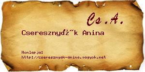 Cseresznyák Anina névjegykártya